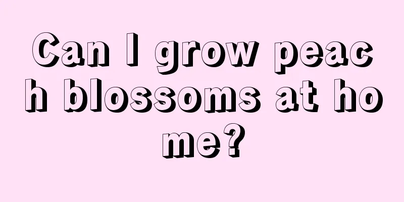 Can I grow peach blossoms at home?