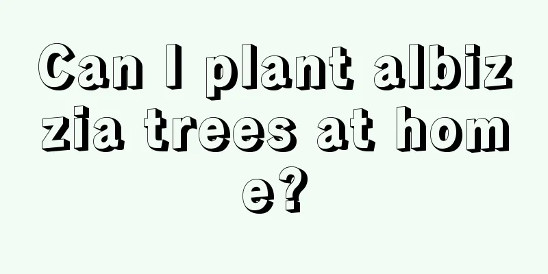 Can I plant albizzia trees at home?