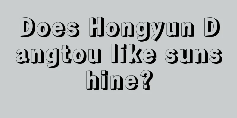 Does Hongyun Dangtou like sunshine?