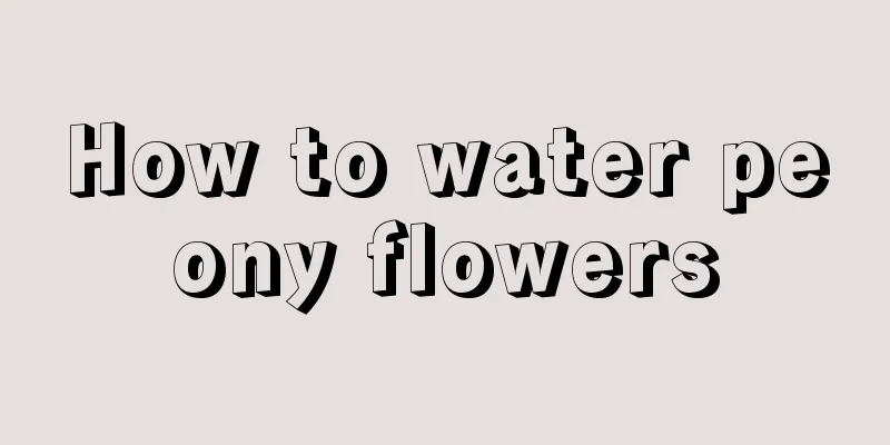 How to water peony flowers