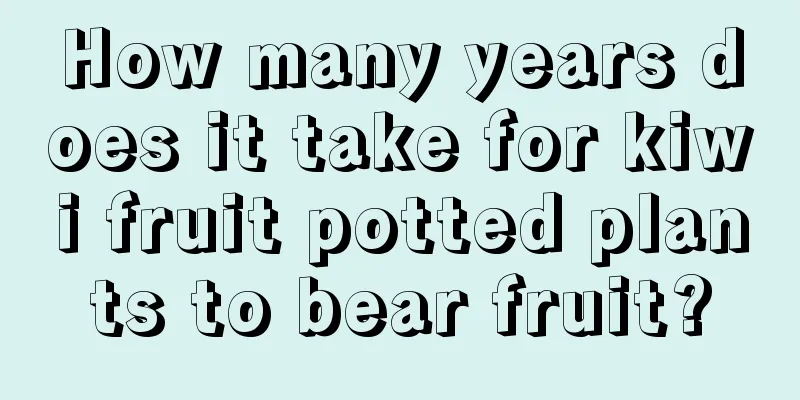 How many years does it take for kiwi fruit potted plants to bear fruit?