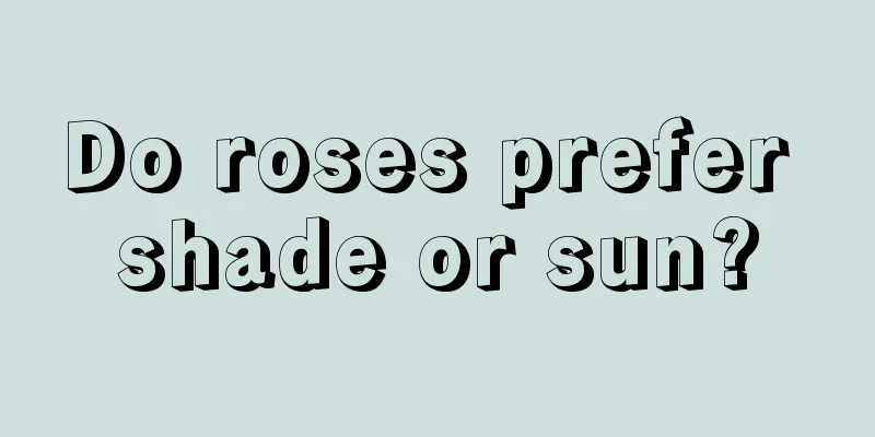 Do roses prefer shade or sun?