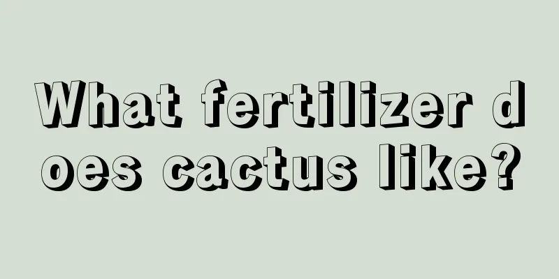 What fertilizer does cactus like?