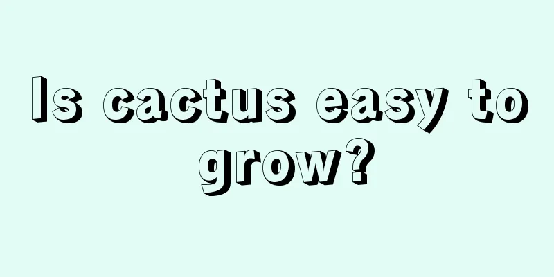 Is cactus easy to grow?