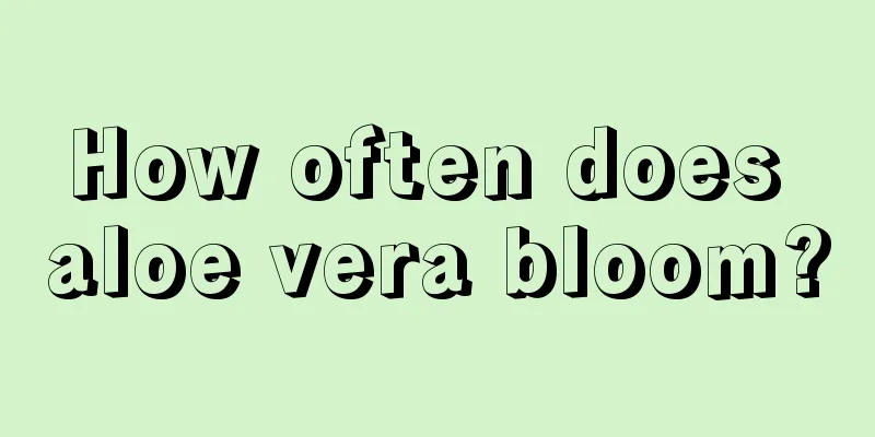 How often does aloe vera bloom?