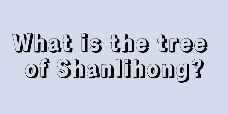 What is the tree of Shanlihong?