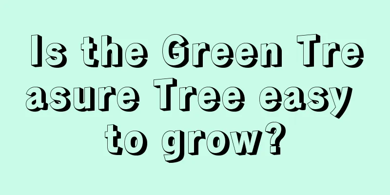 Is the Green Treasure Tree easy to grow?