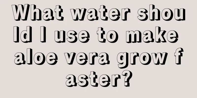 What water should I use to make aloe vera grow faster?