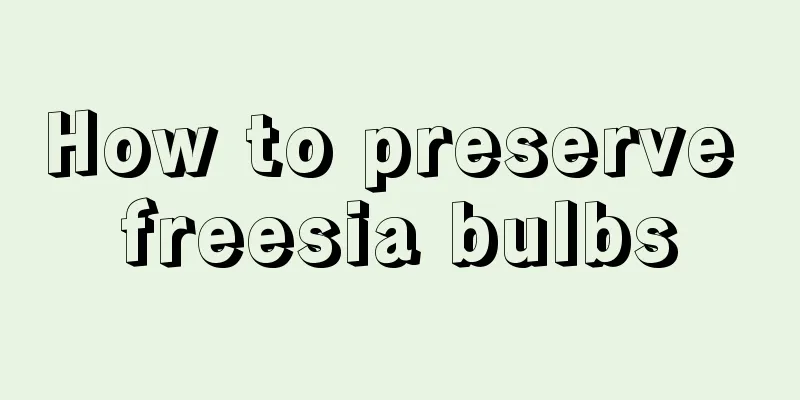 How to preserve freesia bulbs