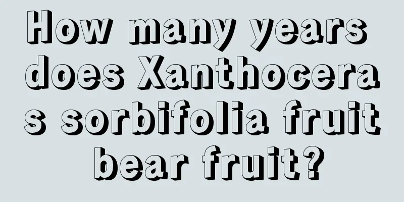 How many years does Xanthoceras sorbifolia fruit bear fruit?