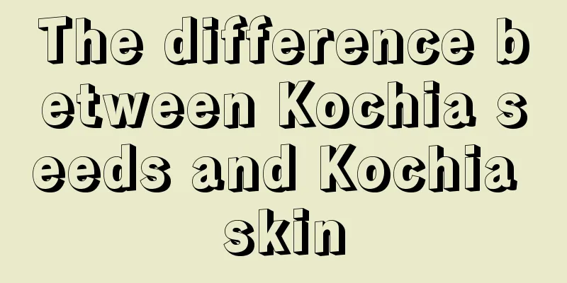 The difference between Kochia seeds and Kochia skin