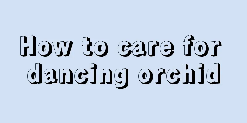 How to care for dancing orchid