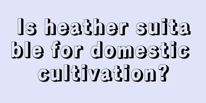 Is heather suitable for domestic cultivation?