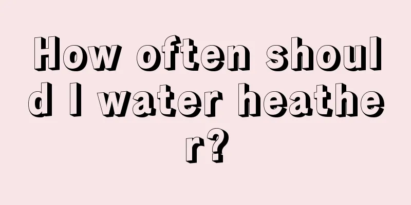 How often should I water heather?