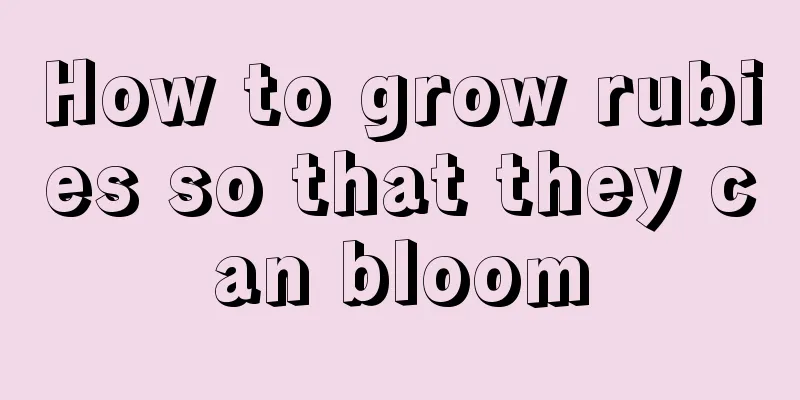 How to grow rubies so that they can bloom