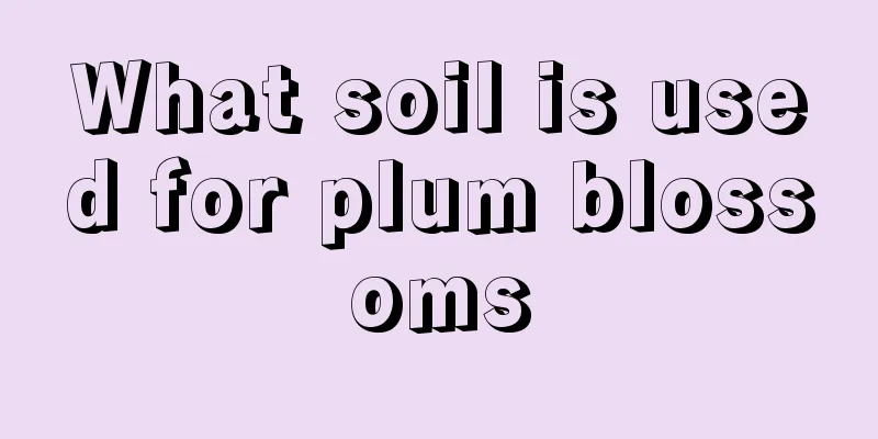 What soil is used for plum blossoms