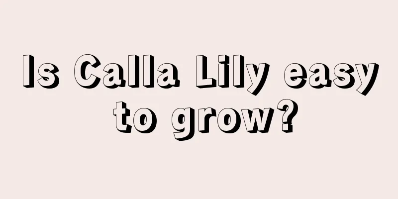 Is Calla Lily easy to grow?