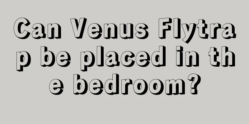 Can Venus Flytrap be placed in the bedroom?