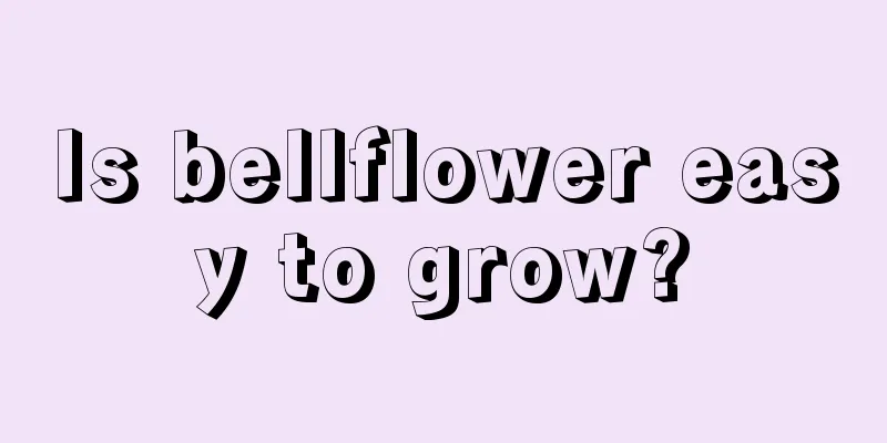 Is bellflower easy to grow?