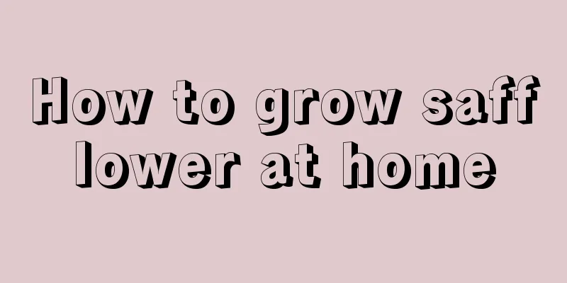 How to grow safflower at home