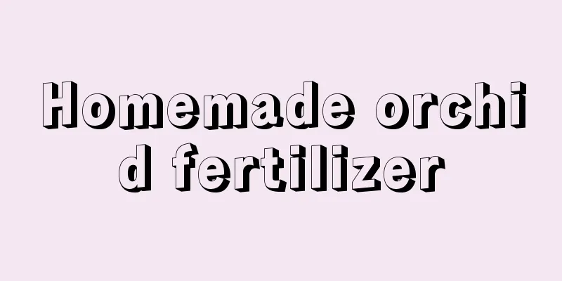 Homemade orchid fertilizer