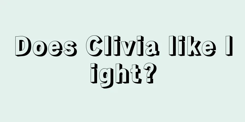 Does Clivia like light?