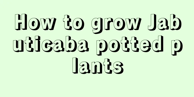 How to grow Jabuticaba potted plants