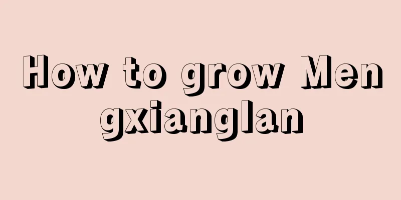 How to grow Mengxianglan