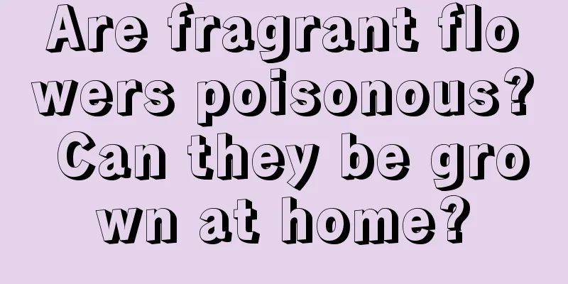 Are fragrant flowers poisonous? Can they be grown at home?