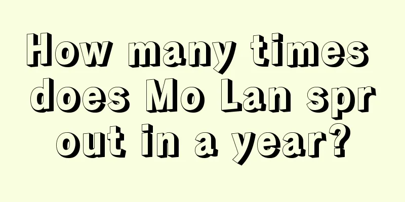 How many times does Mo Lan sprout in a year?