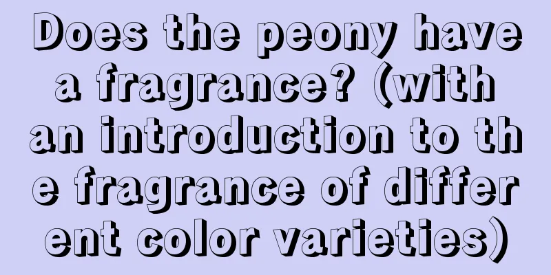 Does the peony have a fragrance? (with an introduction to the fragrance of different color varieties)