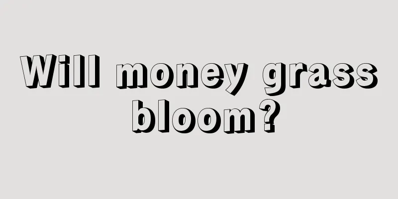 Will money grass bloom?