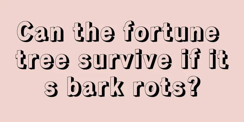 Can the fortune tree survive if its bark rots?