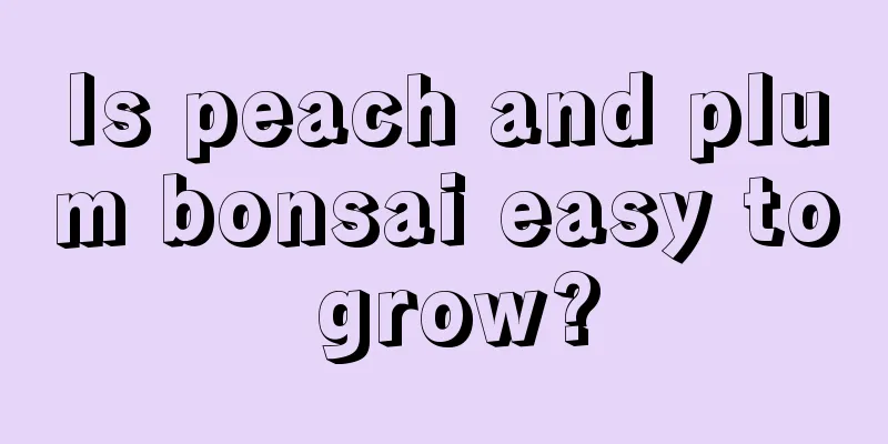 Is peach and plum bonsai easy to grow?