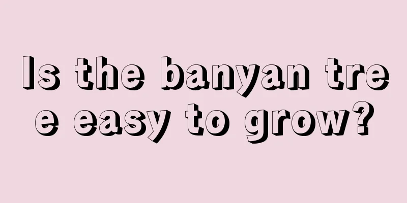 Is the banyan tree easy to grow?