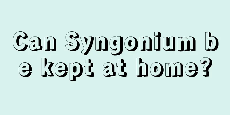 Can Syngonium be kept at home?