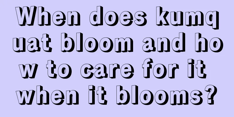 When does kumquat bloom and how to care for it when it blooms?