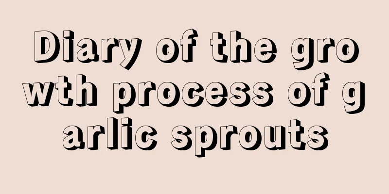 Diary of the growth process of garlic sprouts