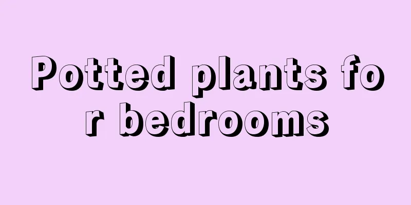 Potted plants for bedrooms