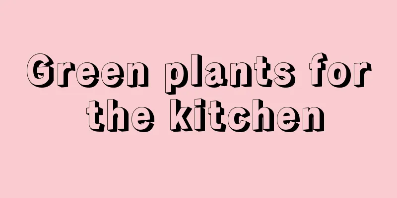 Green plants for the kitchen