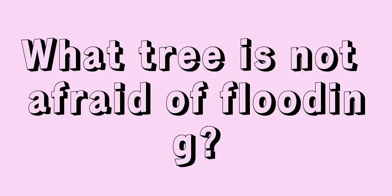 What tree is not afraid of flooding?