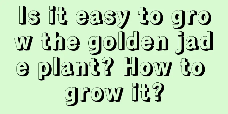 Is it easy to grow the golden jade plant? How to grow it?