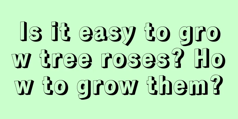 Is it easy to grow tree roses? How to grow them?