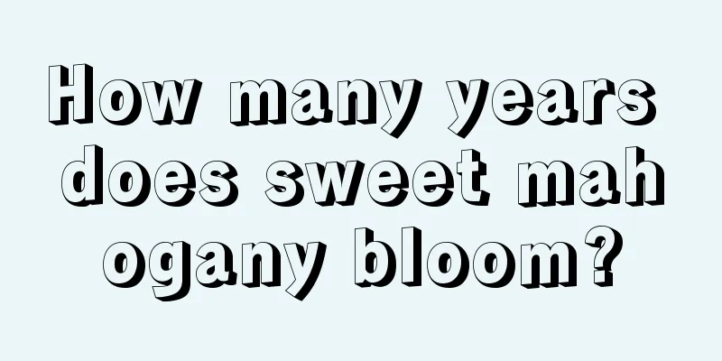 How many years does sweet mahogany bloom?