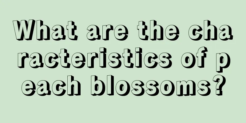 What are the characteristics of peach blossoms?