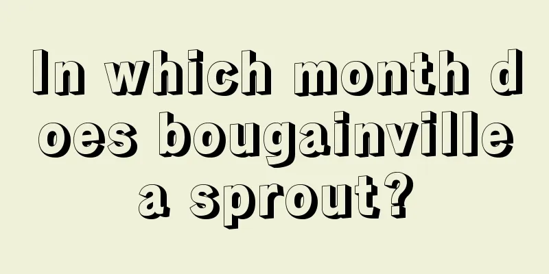 In which month does bougainvillea sprout?