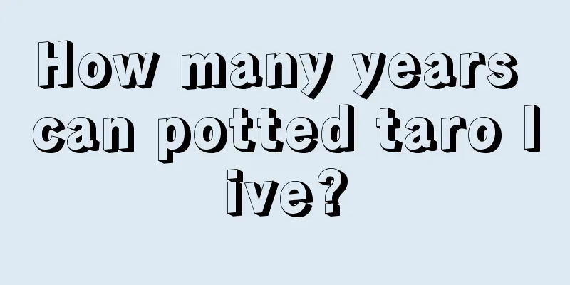 How many years can potted taro live?