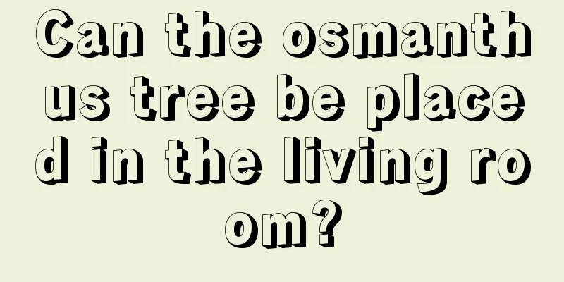 Can the osmanthus tree be placed in the living room?