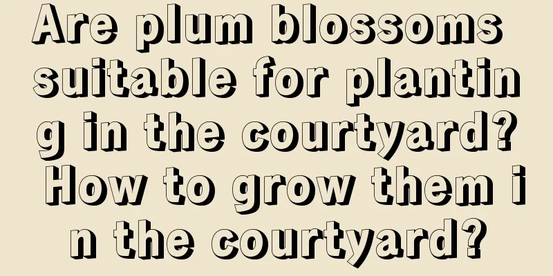 Are plum blossoms suitable for planting in the courtyard? How to grow them in the courtyard?