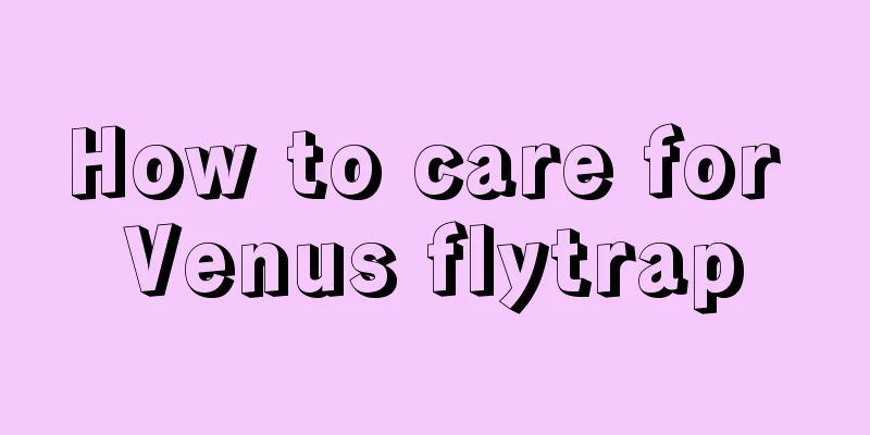 How to care for Venus flytrap